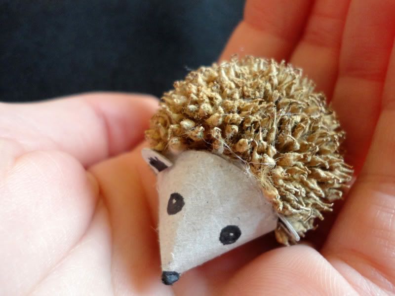 A Hedgehogs Daydream